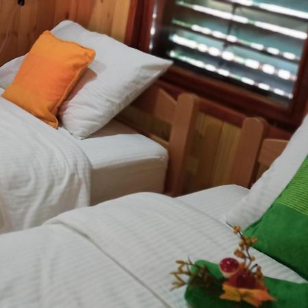 Apartman Orlovo Oko Mandici Zewnętrze zdjęcie